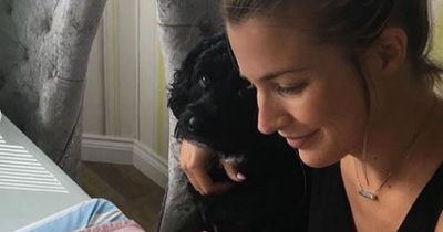 Pregnant Gemma Atkinson applauded as she shares 'brilliant' video showing how she introduced her dogs to baby daughter