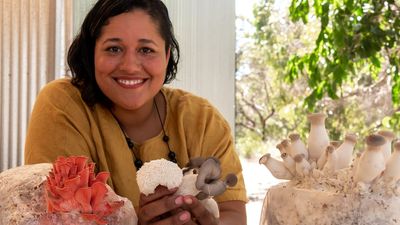Off-grid exotic mushroom farmer, tree changer hopes to change minds on fungi after move to south-east SA