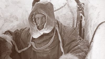 Rare images from early Antarctic expeditions digitised and made available for first time
