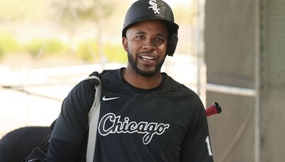 White Sox must all pull on same rope, Elvis Andrus says