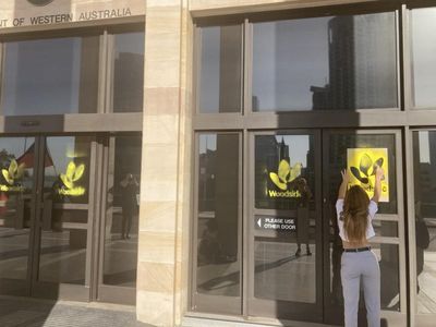 Woodside opponent arrested over parliament vandalism