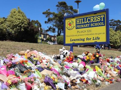 Document stoush puts jumping castle inquest on hold
