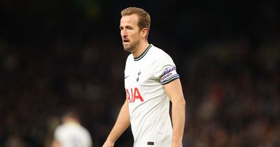 Tottenham news: Spurs rival Chelsea for Brighton wonderkid as 'next Harry Kane' deal identified