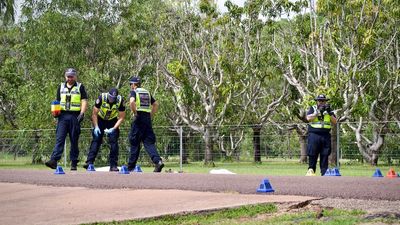 Woman in critical condition, two dogs dead after pedestrian strike at Bees Creek in Darwin rural area