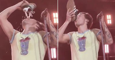 Harry Styles drinks from shoe in 'most disgusting' tradition on Australian tour