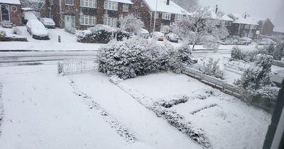 Forecast for Leeds on Tuesday as snow map shows huge blizzard heading to UK