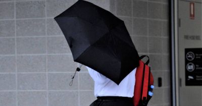 'Vigilante' child abuse material mission costs former public servant career