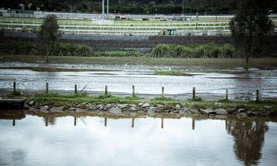 Flemington racecourse flood wall the focus as Coalition and Greens unite to force inquiry