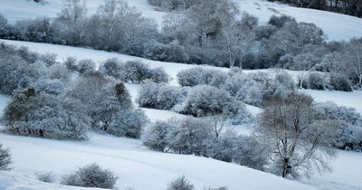 UK weather: Snow forecast as Brits prepare for -2C Arctic blast