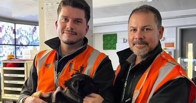Trainee train driver heroically rescues puppy from tracks in the middle of a lesson