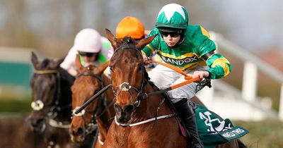 Horse Rachael Blackmore won Grand National on retired after suffering setback