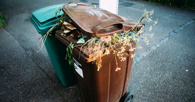 Glasgow residents to be charged for garden waste brown bin collection