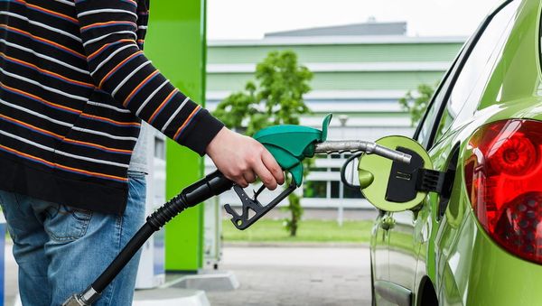 With cuts on excise duty for motor fuels set to end, we motorists are saps for allowing ourselves to be bled dry