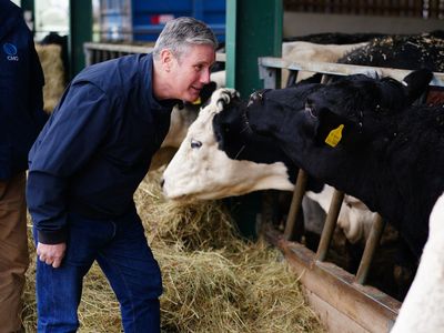 Tory ministers failing to help farmers deal with Brexit fallout, says NFU