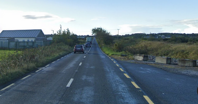 Gardai issue dashcam appeal after pedestrian dies after being hit by car in Galway