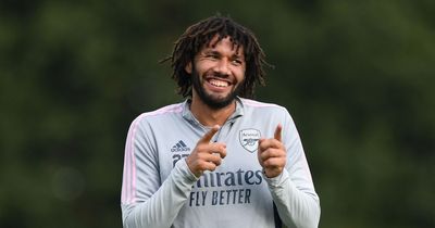 Arsenal confirm Mohamed Elneny has signed second contract extension