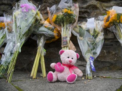 Britain’s gun laws could be tightened following ‘catastrophic’ failings that enabled Plymouth shooting