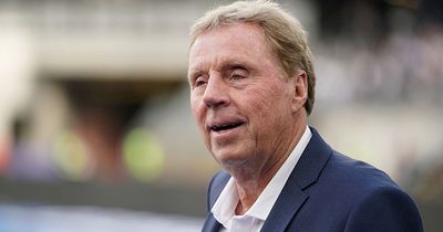 Harry Redknapp could fulfil Grand National dream with first runner Back On The Lash