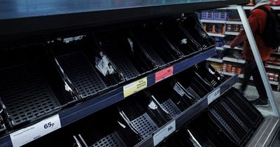 Asda and Morrisons limit amount of veg shoppers can buy amid warnings of wider shortages