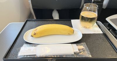 Vegan left shocked after being served up single banana for in-flight meal they paid for