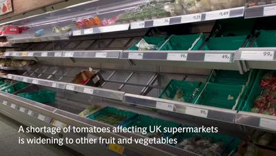 Tomato shortage widens to more fruit and vegetables and likely to last ‘weeks’