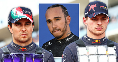 Max Verstappen snubs Lewis Hamilton and Sergio Perez in naming dream F1 driver pairing