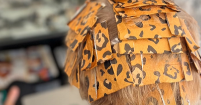 Sir Rod Stewart shares picture of himself with leopard print foils in hair