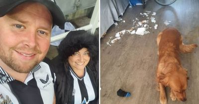 Longbenton couple who found puppy had destroyed their cup final tickets to get new ones from Wembley