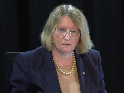 Robodebt victims stood 'ice cube's chance in hell'