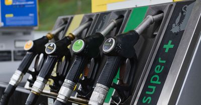When will petrol and diesel prices increase in Ireland as Government announcement delays huge hike