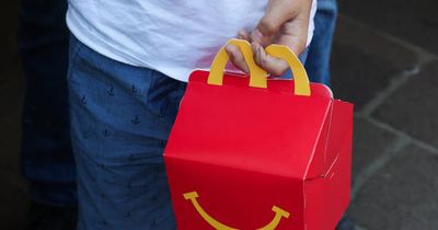 'I flew all the way to Hungary to find my beloved McDonald's snack'