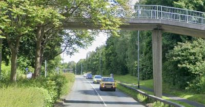 Driver injured by glass after object thrown at windscreen from bridge