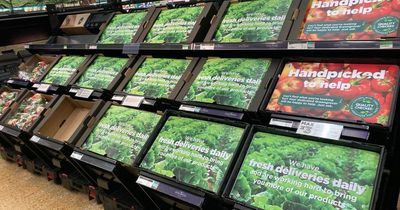 The empty shelves in Welsh supermarkets as shortages take hold