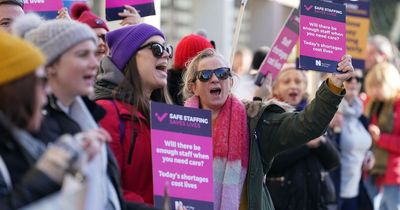 Nurses to pause strike action to enter 'intensive talks' on pay
