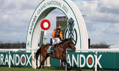 Grand National: Irish horses to dominate field for second year running