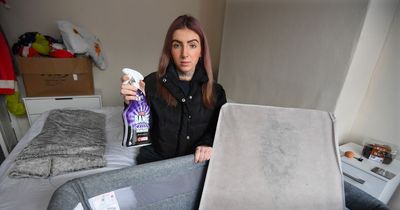 Young mum told to use Cillit Bang on baby's mouldy mattress