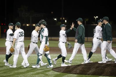 Michigan State baseball: opening weekend recap