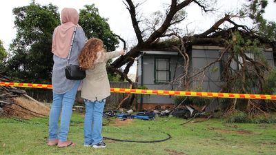 Sydney lashed by intense rainfall that downed trees and powerlines, and closed school