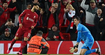 Liverpool fans left red-faced as Thibaut Courtois taunts backfire in embarrassing manner