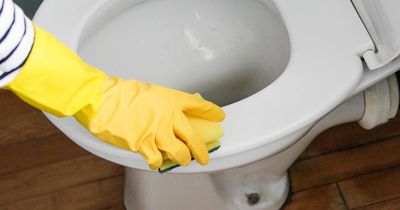 Cleaning fans praise 38p toilet hack for removing yellow stains from the seat