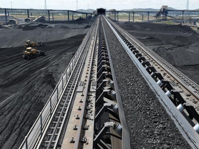 Investors query coal leader's climate change trajectory