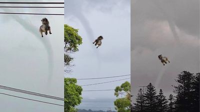 Tornado Footage From NSW Has Appeared Just A Day After A Heatwave What’s Next? Acid Rain???