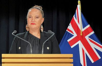 Pacific 'family' free to form any ties but need to work together, says New Zealand Deputy PM