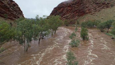 Alice Springs to begin flood-mitigation designs, six years after report recommendations