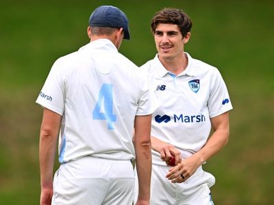 NSW bowlers dominate Qld at the Gabba