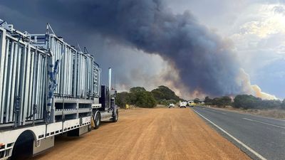 Farmers, authorities assessing the damage after bushfires hit southern WA