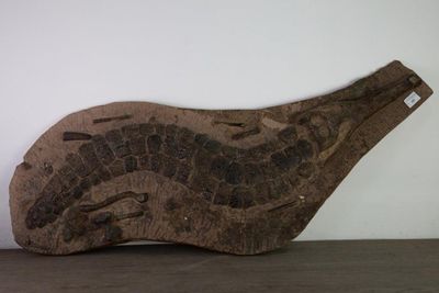 Crocodile fossil expected to fetch up to £15,000 on sale at Scottish auction house