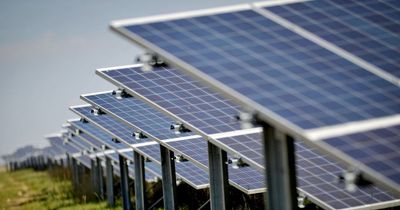 Council pulls out of buying solar farm needed by next year to meet climate goals