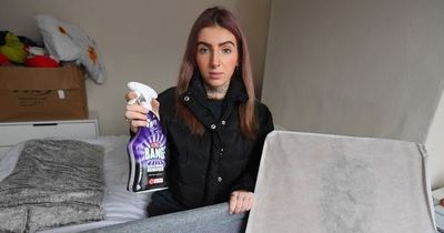 Young mum claims she was told to use Cillit Bang to clean baby's mouldy mattress