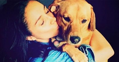 Ellen Degeneres's three-word response when she learnt name of Meghan Markle's dog